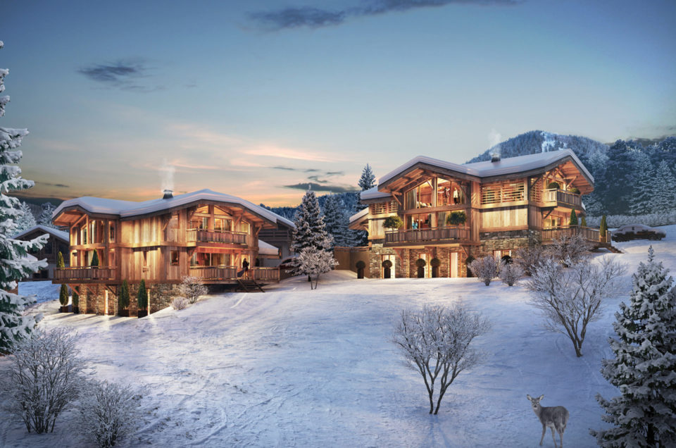 Biotope Immobilier, Aspen Immobilier | Chalets 3D | 2021